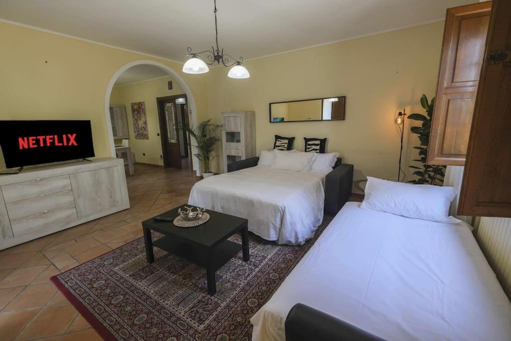 Villa Luxury Pool & Garden 피사 외부 사진